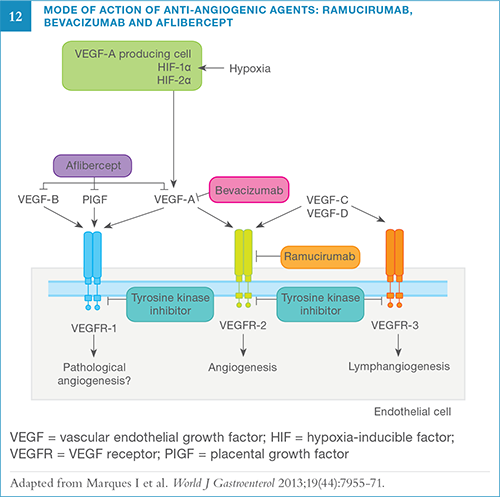 New Agents and Strategies in the Management of